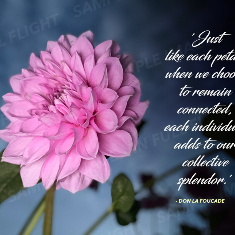 Collective Splendor