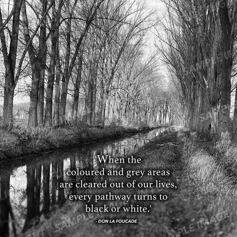 Colourless Pathways