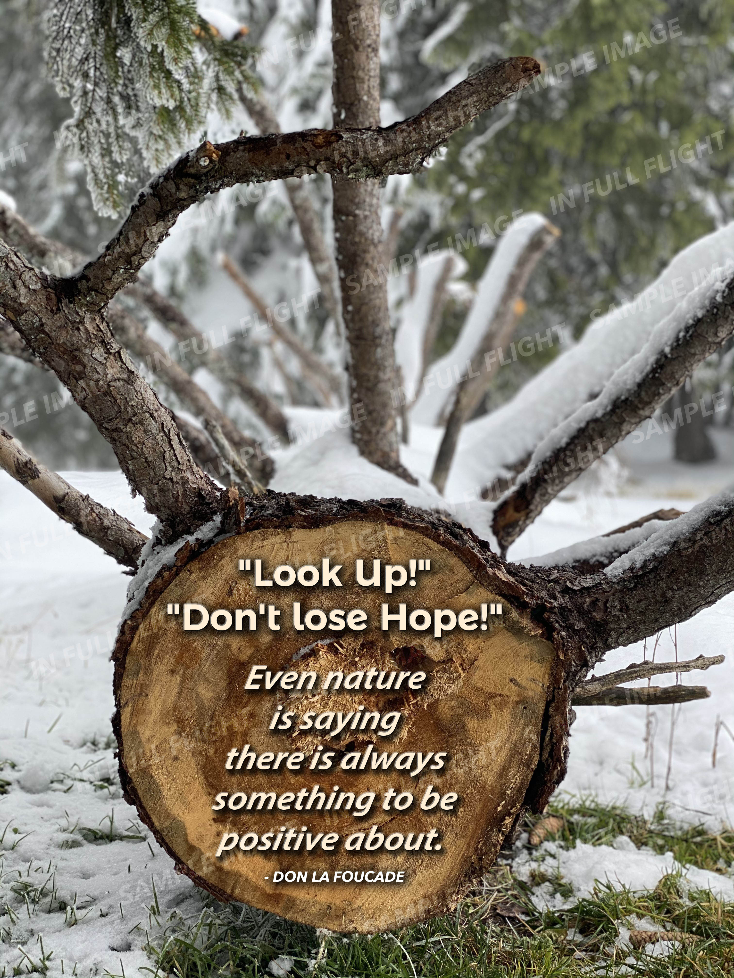 Positive Nature